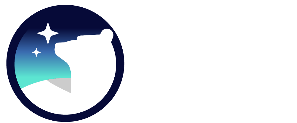 Blue North Consulting Logo White